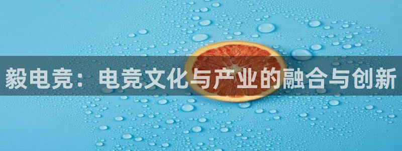 ob电竞官网入口