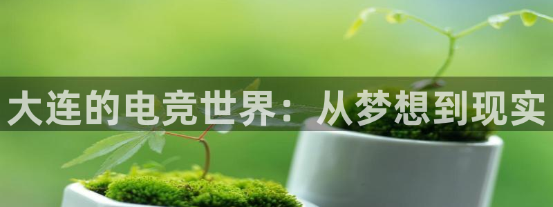 ob电竞俱乐部：大连的电竞世界：从梦想到现实