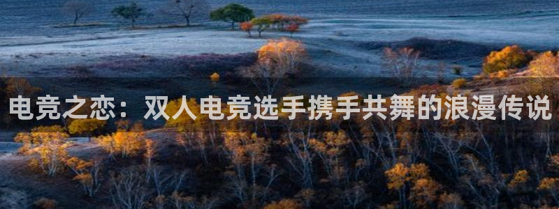 ob电竞平台：电竞之恋：双人电竞选手携手共舞的浪漫传说