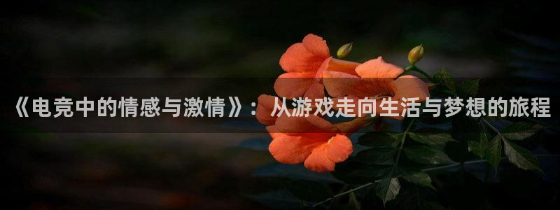 ob电竞网站：《电竞中的情感与激情》：从游戏走向生活与梦想的旅程
