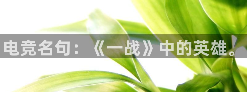 ob电竞官网入口