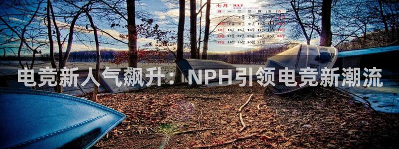 ob电竞网站：电竞新人气飙升：NPH引领电竞新潮流