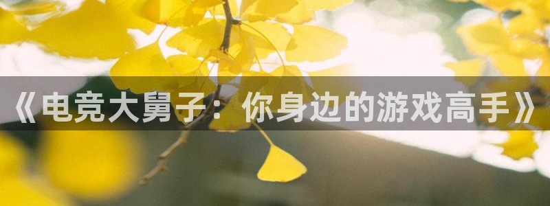 ob电竞官网入口：《电竞大舅子：你身边的游戏高手》