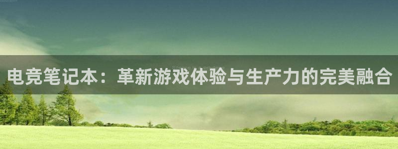 ob电竞平台：电竞笔记本：革新游戏体验与生产力的完美融合