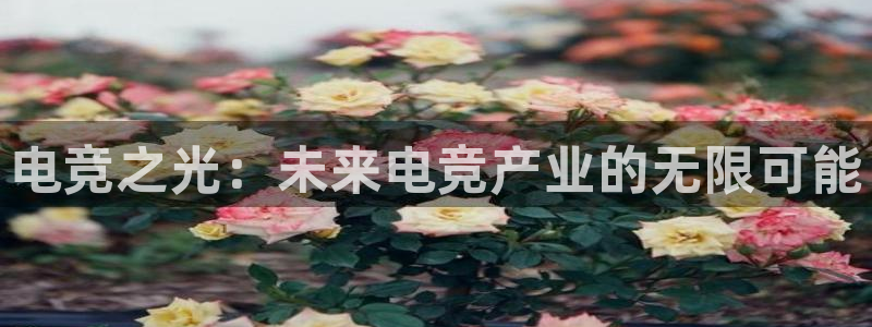 ob电竞官网：电竞之光：未来电竞产业的无限可能