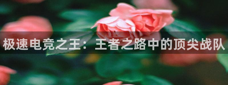 ob电竞网站：极速电竞之王：王者之路中的顶尖战队