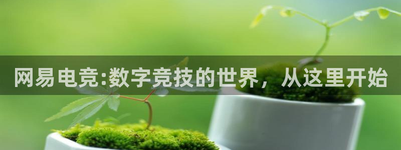 ob电竞网站：网易电竞:数字竞技的世界，从这里开始