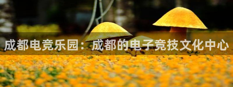 ob电竞官网入口：成都电竞乐园：成都的电子竞技文化中心